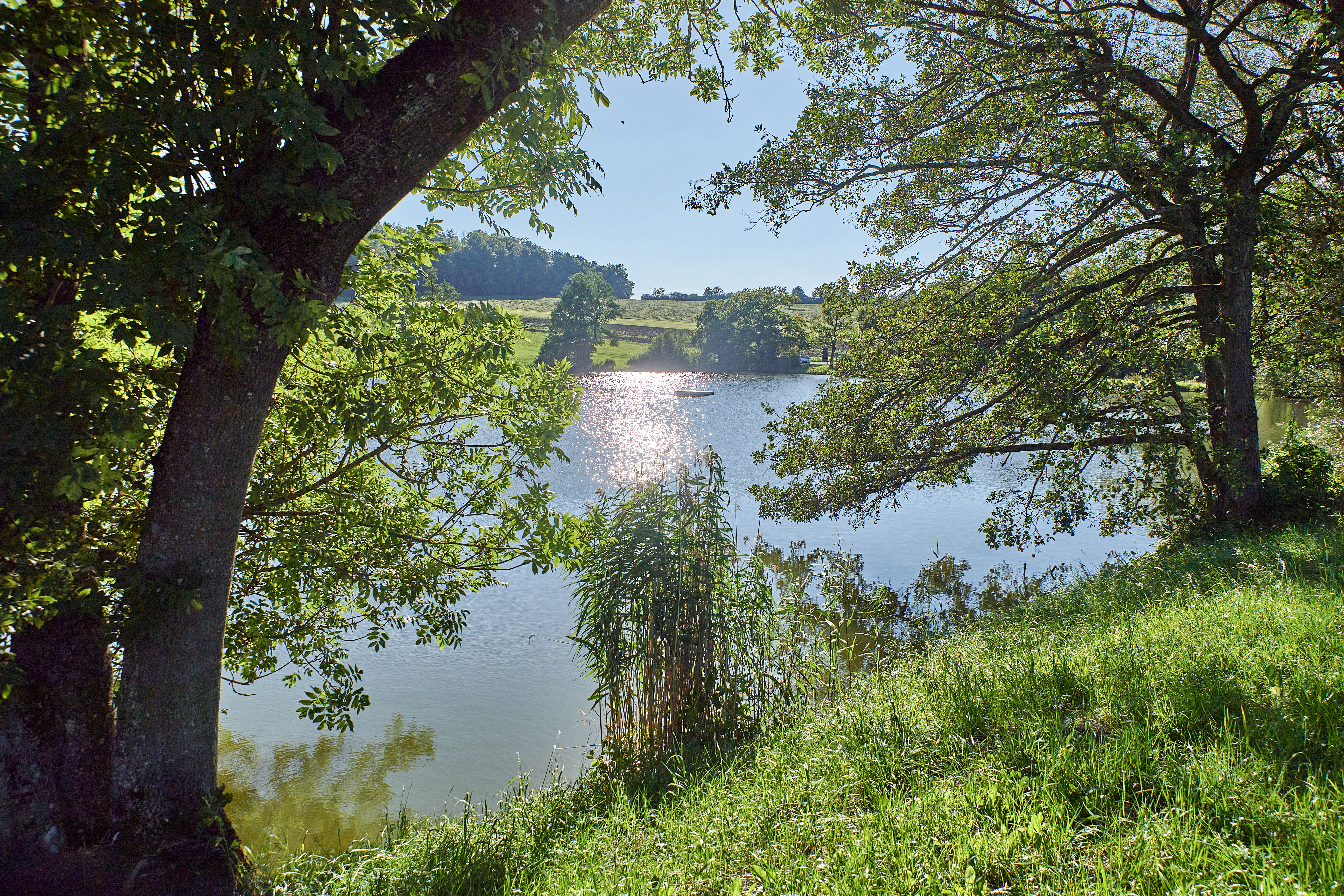 Hintergrundbild des Marktes Kaisheim