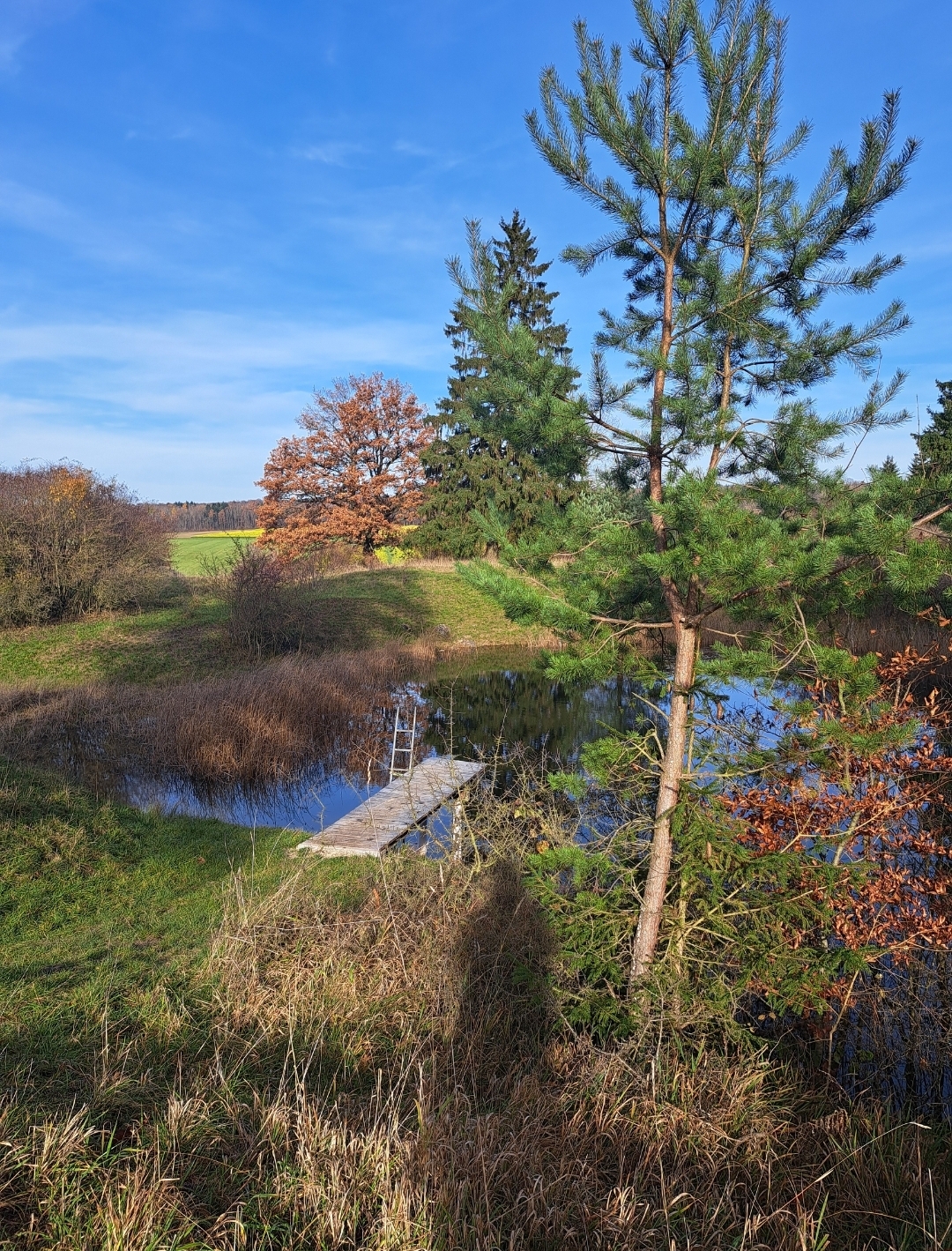 Hintergrundbild des Marktes Kaisheim