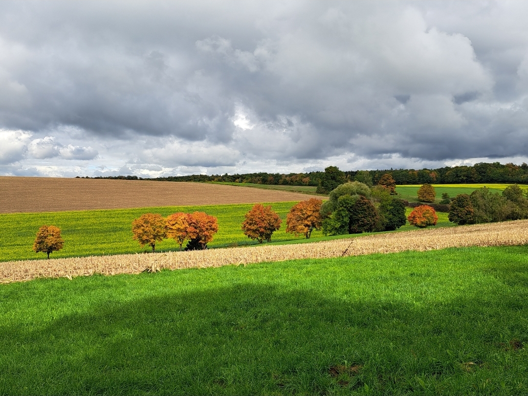 Hintergrundbild des Marktes Kaisheim
