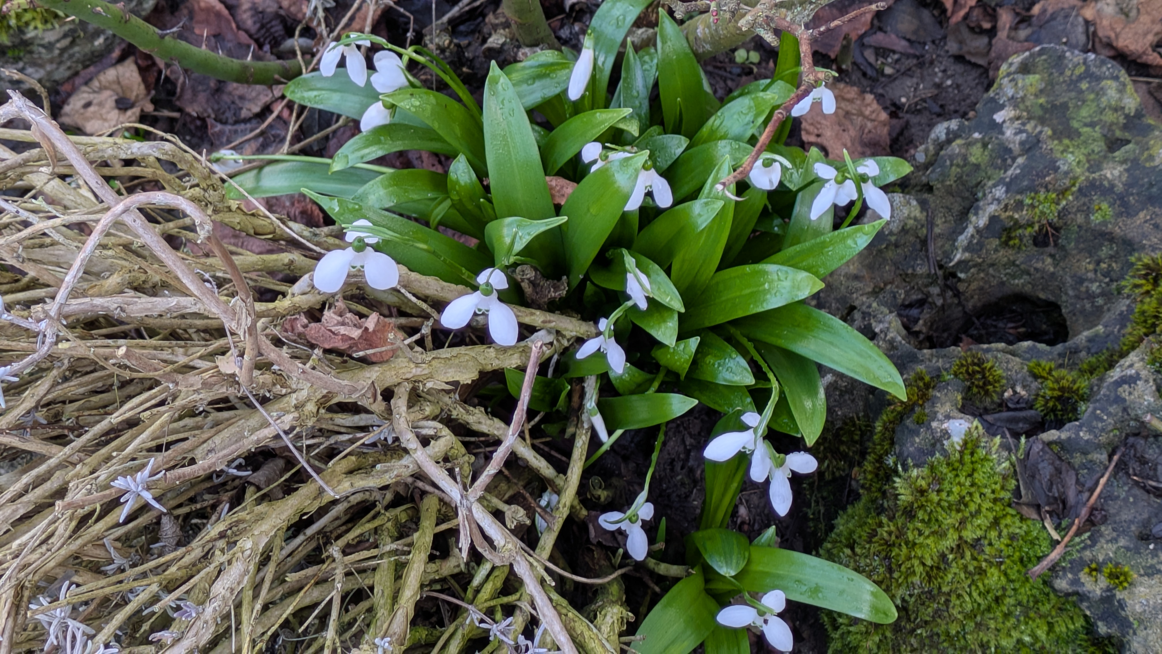 Hintergrundbild des Marktes Kaisheim