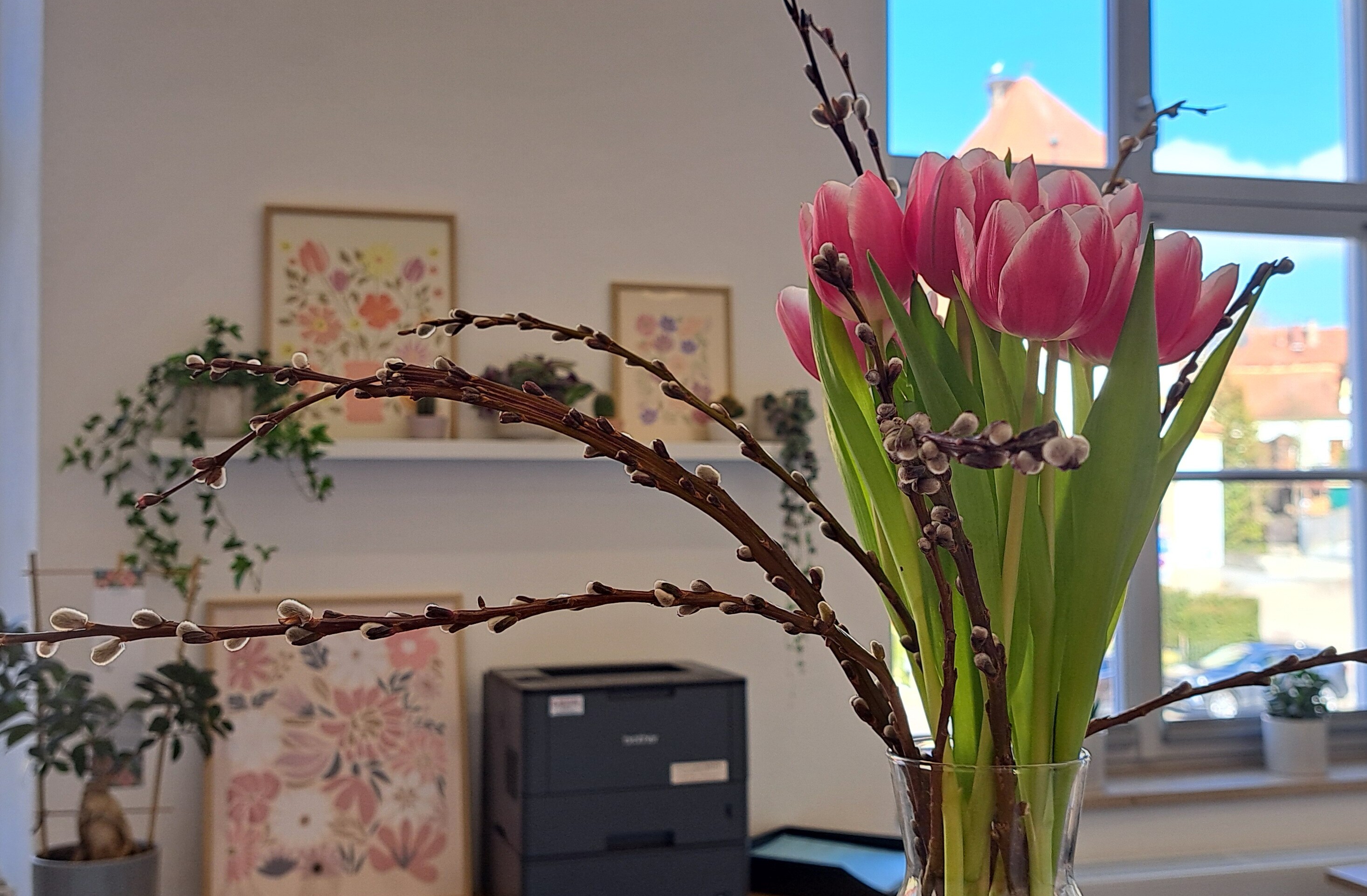 Hintergrundbild des Marktes Kaisheim