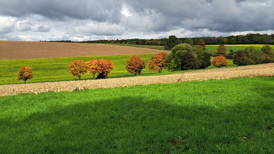 Hintergrundbild des Marktes Kaisheim