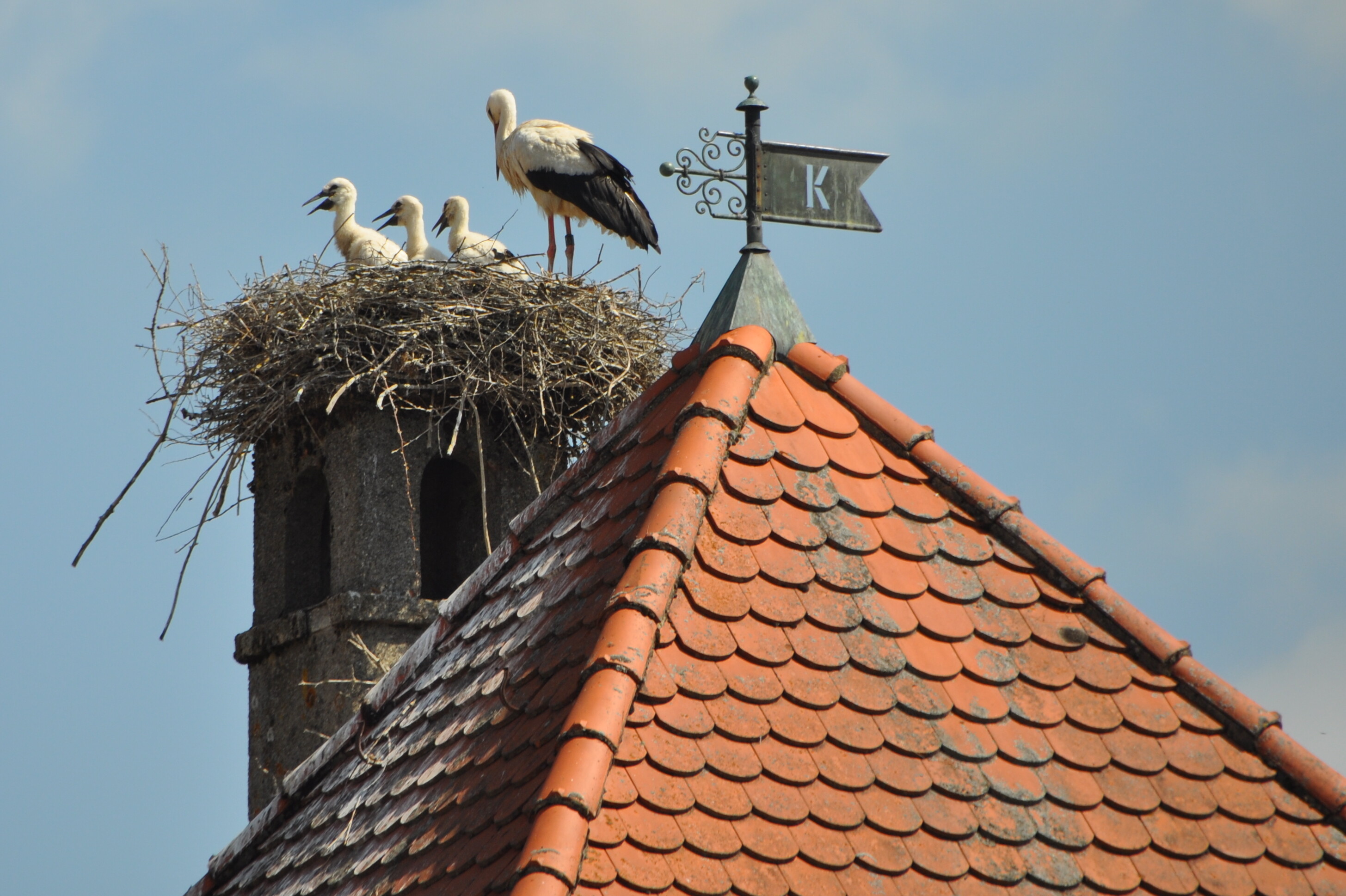 Hintergrundbild des Marktes Kaisheim