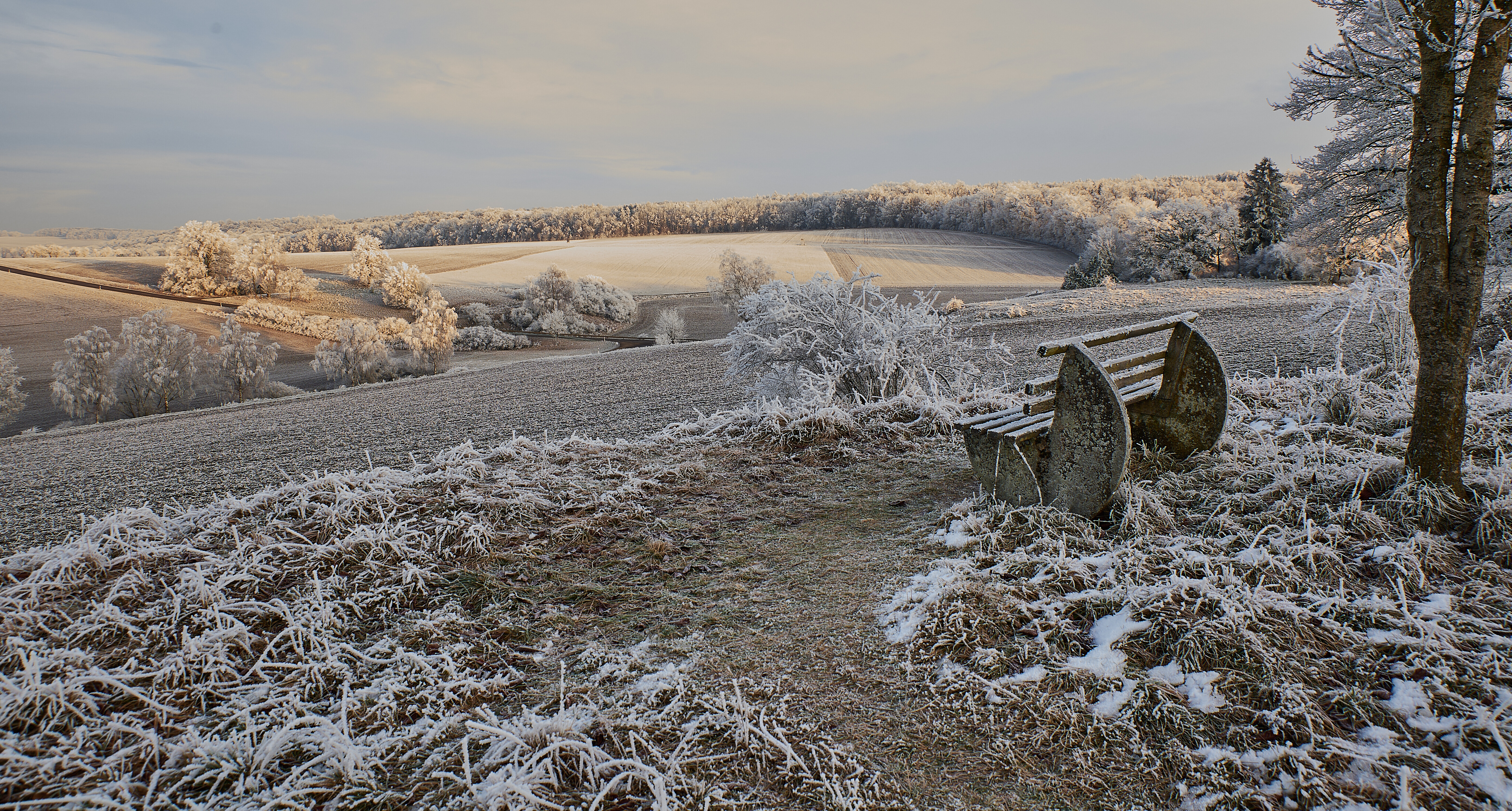 Hintergrundbild des Marktes Kaisheim