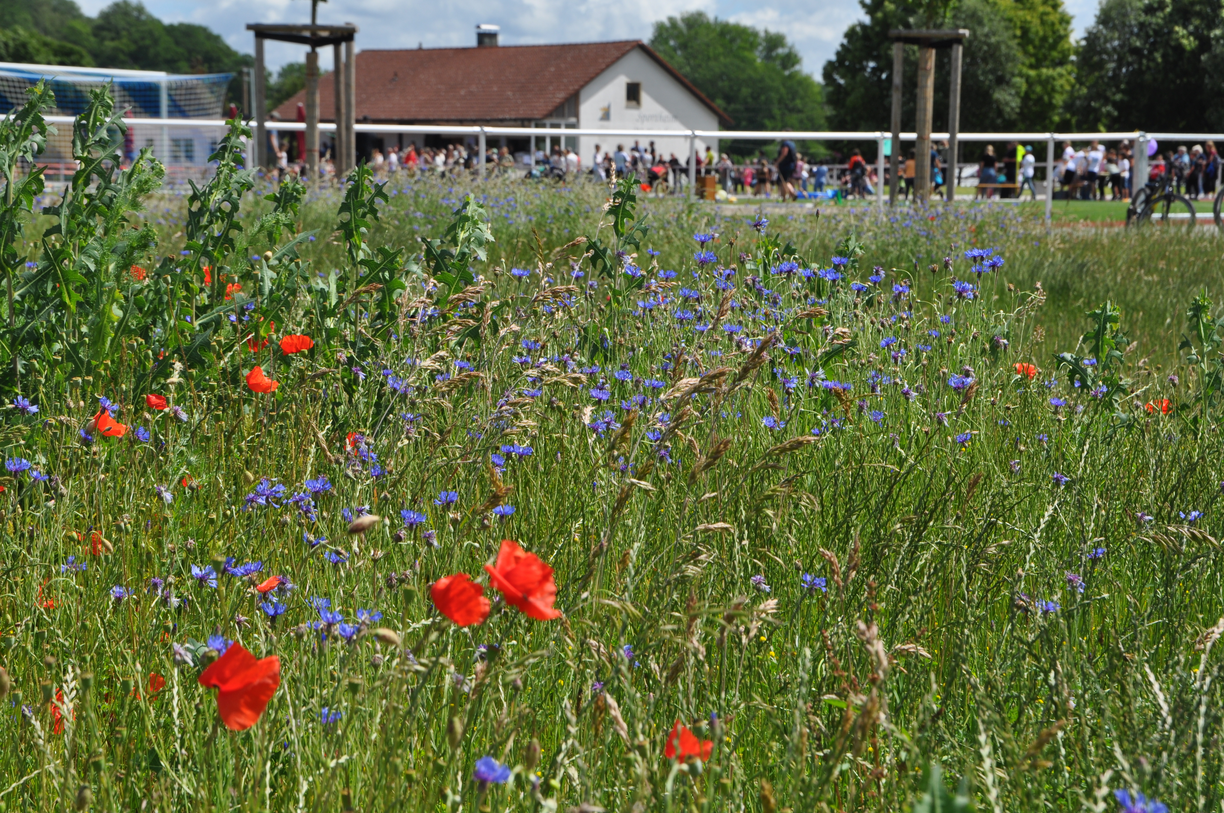 Hintergrundbild des Marktes Kaisheim