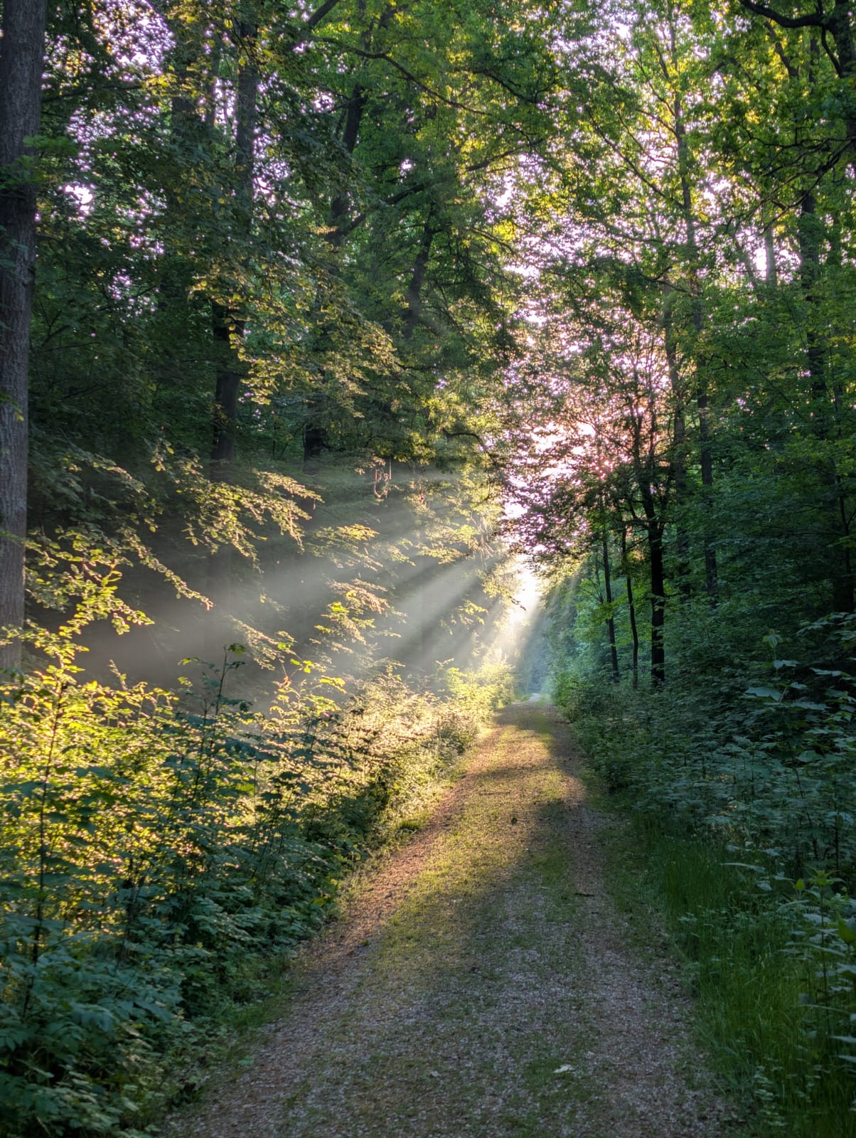 Hintergrundbild des Marktes Kaisheim